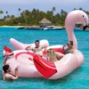 Aufblasbare Flamingo-Schwimminsel Riesen Badeinsel mit Schwimmring Luftpumpe 308 x 320 x 175 cm Rosa