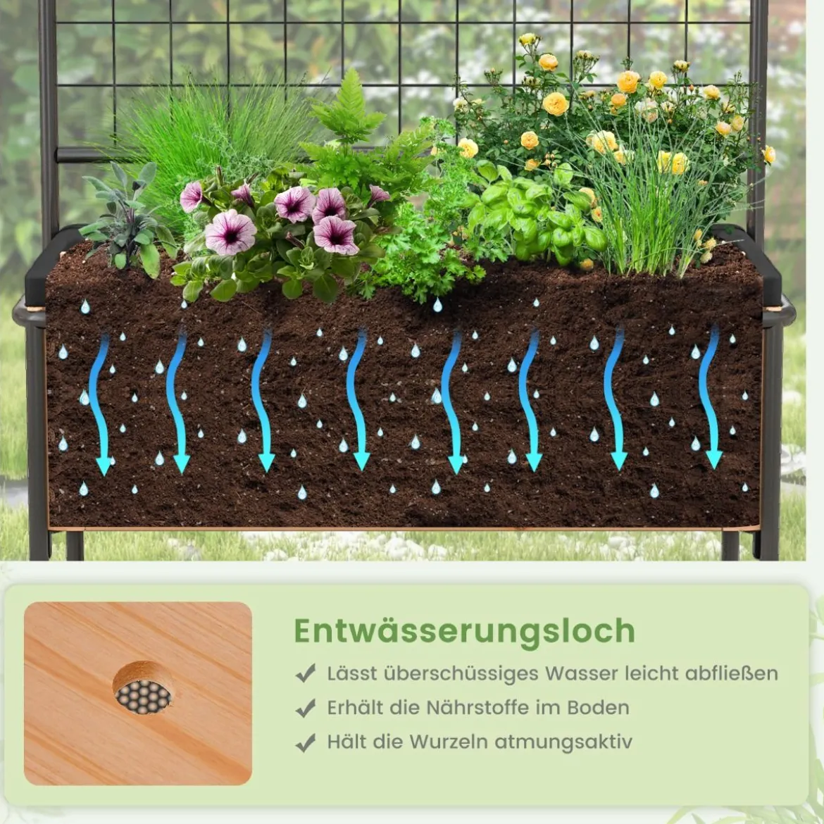 Blumenkasten mit Spalier & 2 Stufigen Regalen & Abnehmbarer Trennwand 80 x 38 x 150 cm