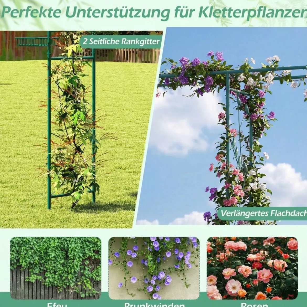 213 cm Gartenlauben-Futterstation robuster Gartenbogen mit Wasserschale Gittertablett Fettfutterspender Grün