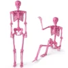 160 CM Halloween Skelett lebensgroß posierbares Skelett mit beweglichen Gelenken Halloween Dekoration Rosa