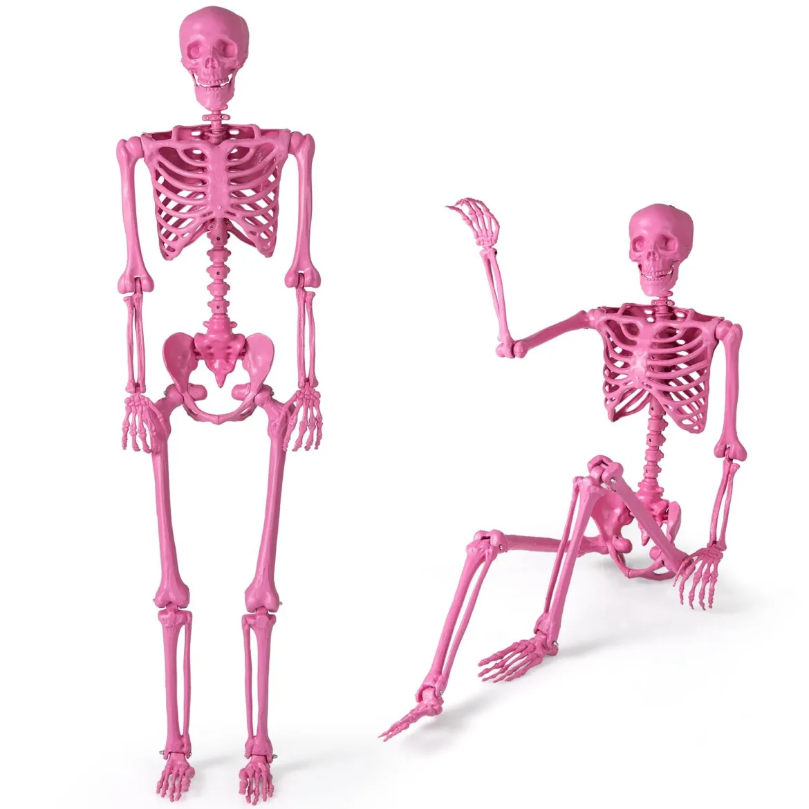 160 CM Halloween Skelett lebensgroß posierbares Skelett mit beweglichen Gelenken Halloween Dekoration Rosa