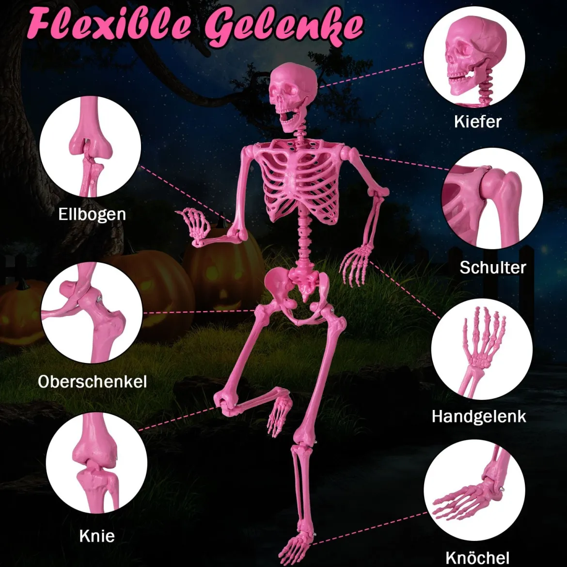 160 CM Halloween Skelett lebensgroß posierbares Skelett mit beweglichen Gelenken Halloween Dekoration Rosa