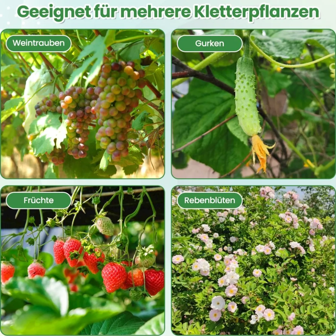 230 cm Hoher Gartenbogen für Kletterpflanzen mit PE-beschichteter Metallstruktur Rankhilfe