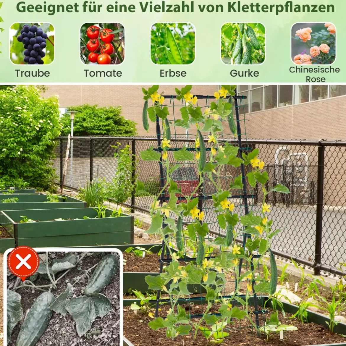 187 cm Hoher Garten-Trellis mit Netz für Gurken-Kletterpflanzen Vertikaler Pflanzenstützständer