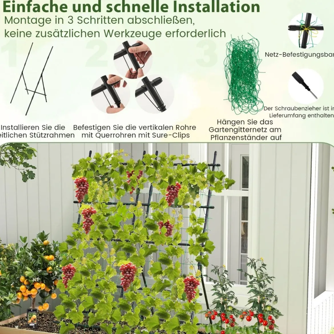 187 cm Hoher Garten-Trellis mit Netz für Gurken-Kletterpflanzen Vertikaler Pflanzenstützständer