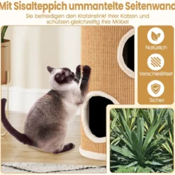 Ø 36 cm Kratztonne mit Sisal-Kratzbrett & 3 Katzenhöhlen & Plüschbett Katzentonne Beige