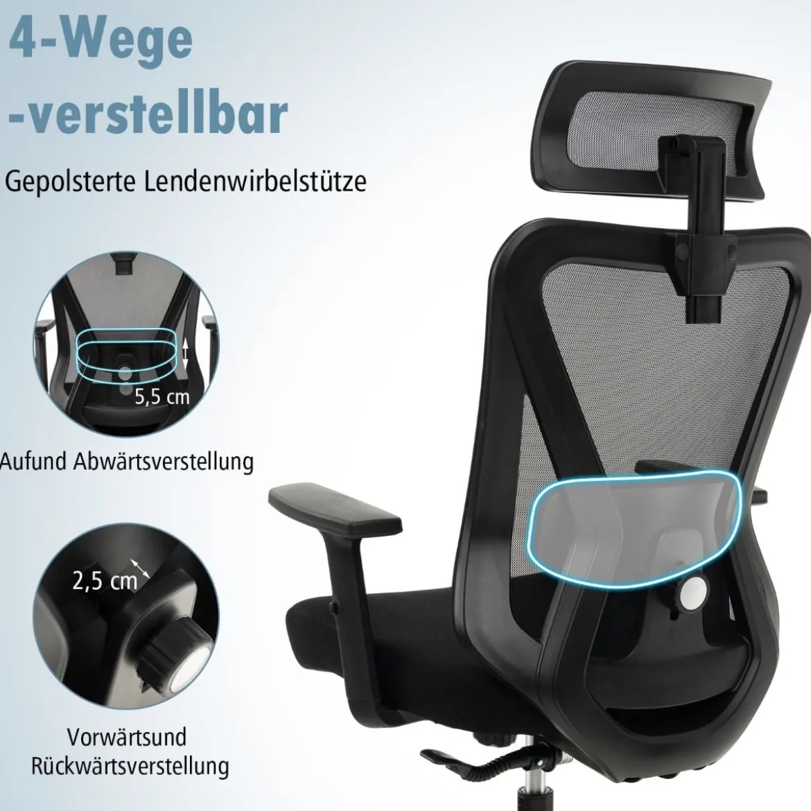 Ergonomischer Bürostuhl Schreibtischstuhl mit Verstellbarer Lordosenstütze 69 x 63 x 110–119 cm Schwarz