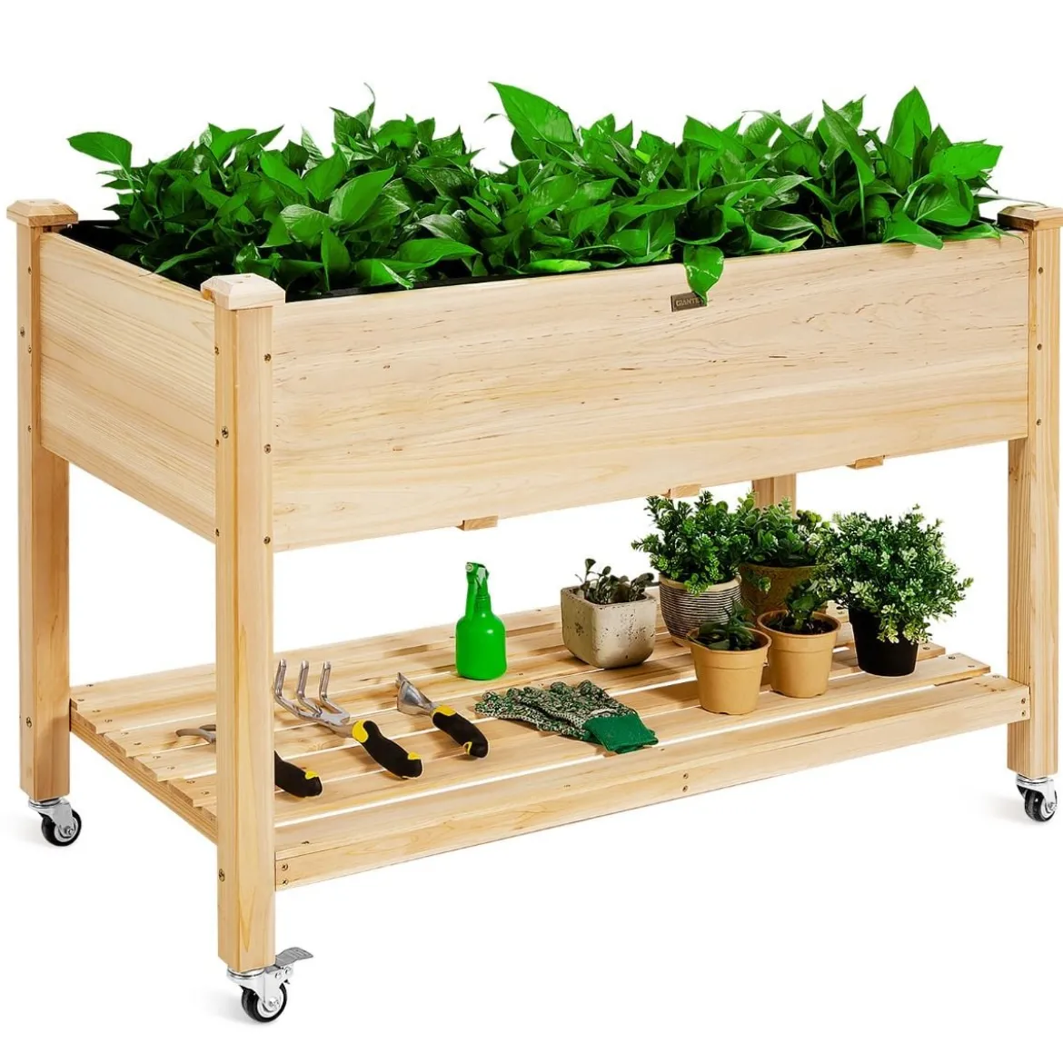 Erhöhtes Gartenbeet Pflanzkasten aus Holz mit Feststellbaren Rädern 120 x 59 x 84 cm Natur