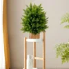 2er Set 55 cm Kunstpflanze mit Topf Zeder Buchsbaum Kunstbaum für Haus Büro Grün