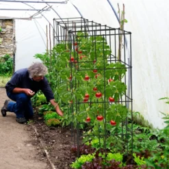 4er Set Tomaten Rankhilfe Metall Rankgitter Tomatenturm Gurkenturm Tomatenkäfig 100 cm