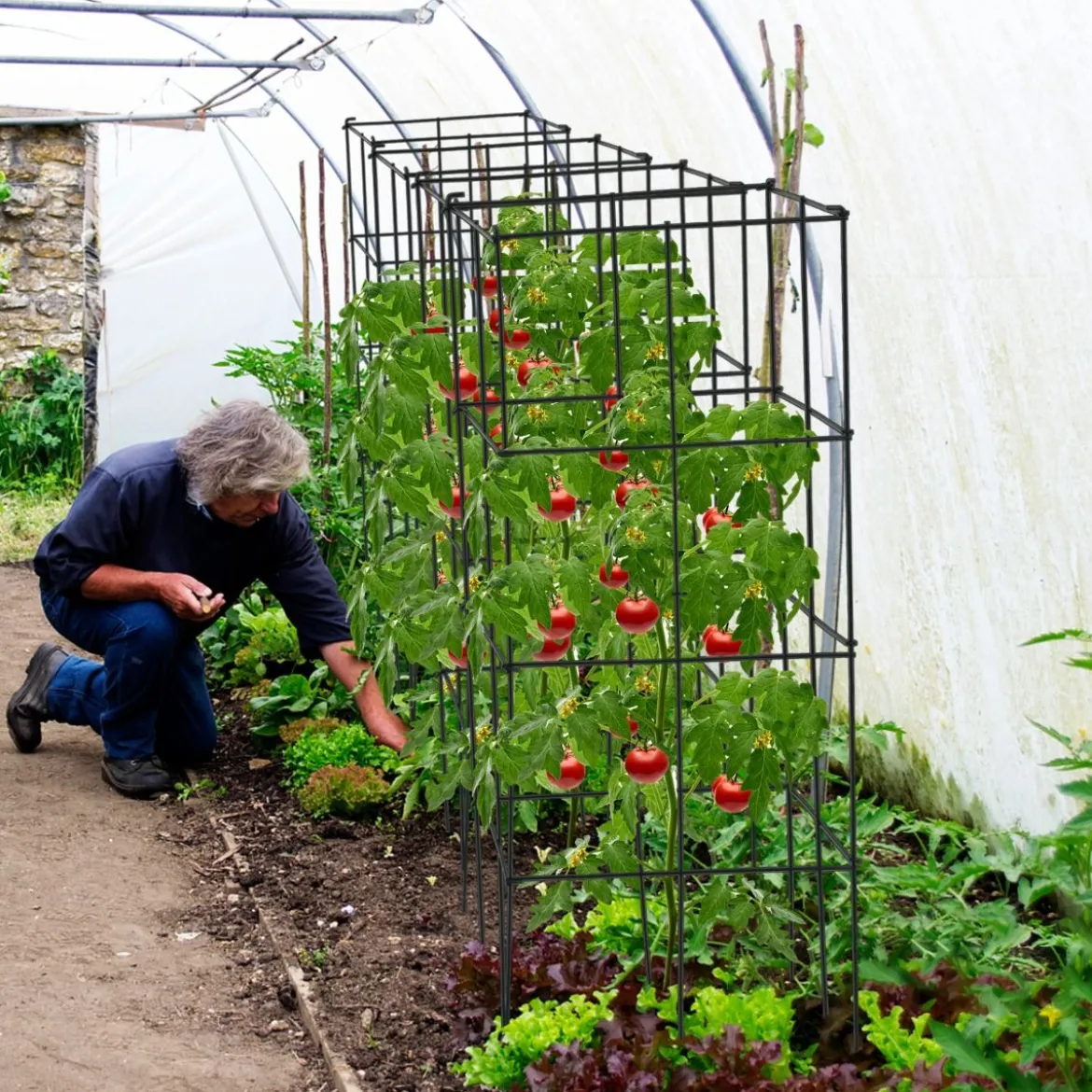 4er Set Tomaten Rankhilfe Metall Rankgitter Tomatenturm Gurkenturm Tomatenkäfig 100 cm