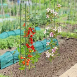 2er Set Tomaten Rankhilfe mit Verstellbare Höhe & 3 Ringe Pflanzenkäfig Pflanzenstütze 143 cm Hoch