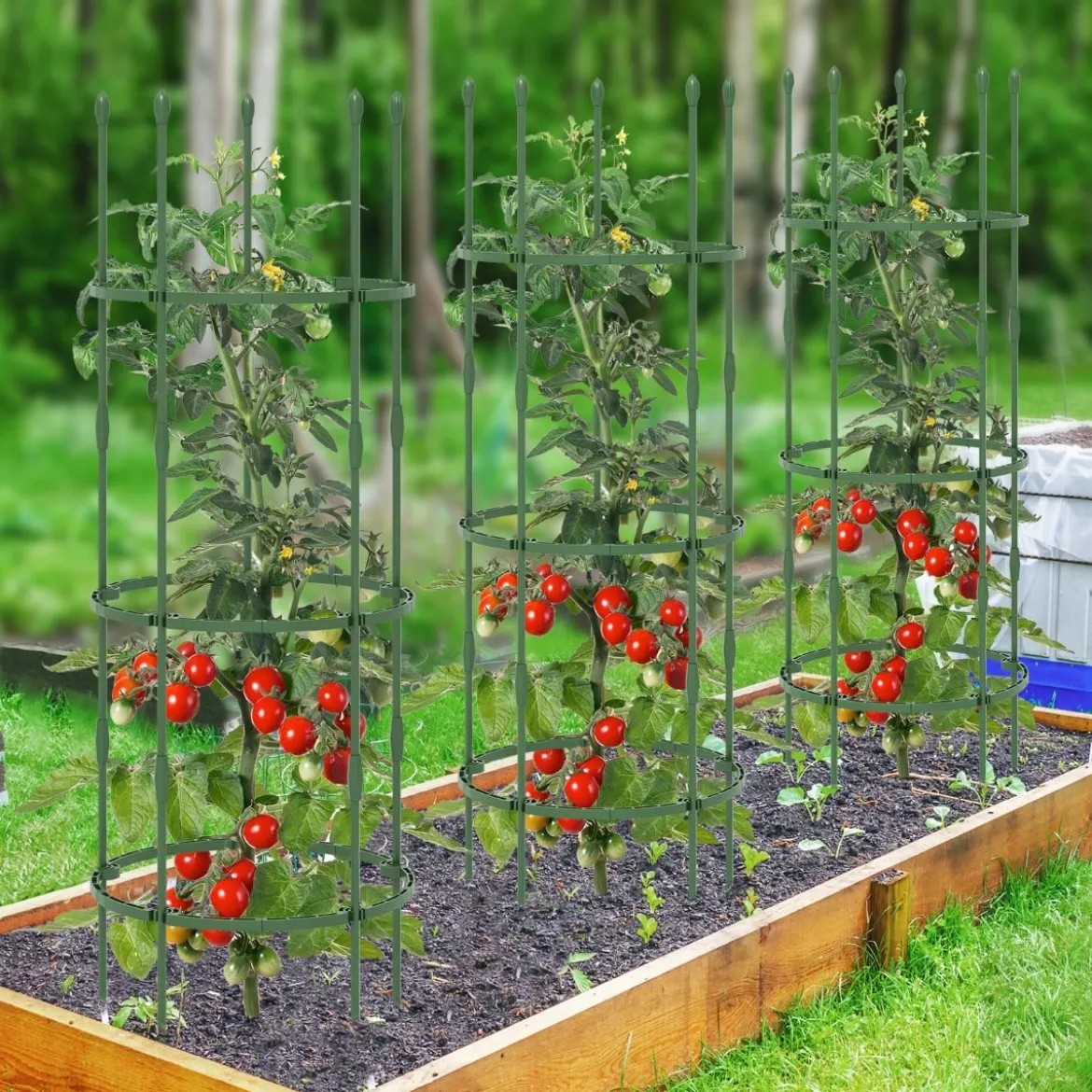 3er Set Tomaten Rankhilfe mit Verstellbare Höhe & 3 Ringe Pflanzenkäfig Pflanzenstütze 154 cm Hoch