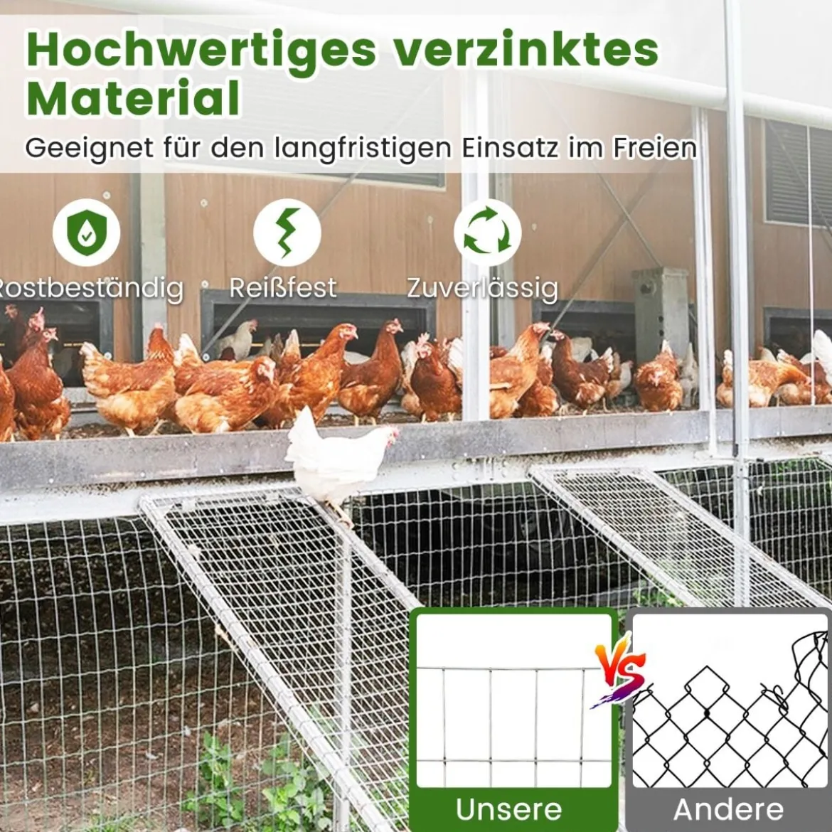 Feinmaschiger Drahtgitter mit 50 x 25 mm Maschenloch Verzinkt Drahtzaun Wühlmausgitter