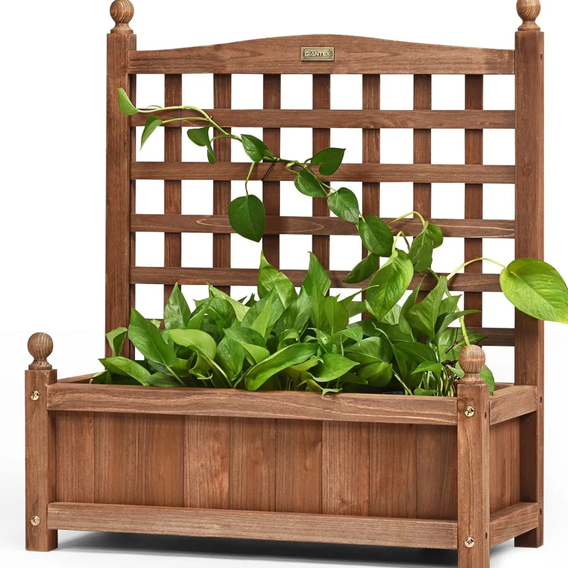 Gartenspalier Blumenkasten mit Rankgitter Massivholz-Pflanzgefäß 64,5 x 28 x 75 cm Dunkelbraun