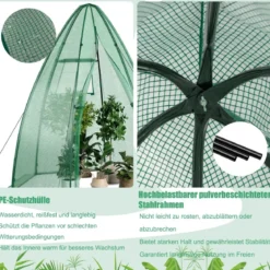 Gewächshaus Gartentreibhaus mit Allwetter-PE-Abdeckung 160 x 160 x 183 cm Grün