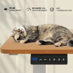 Höhenverstellbarer Schreibtisch 140 x 60 cm elektrischer Stehschreibtisch Natur