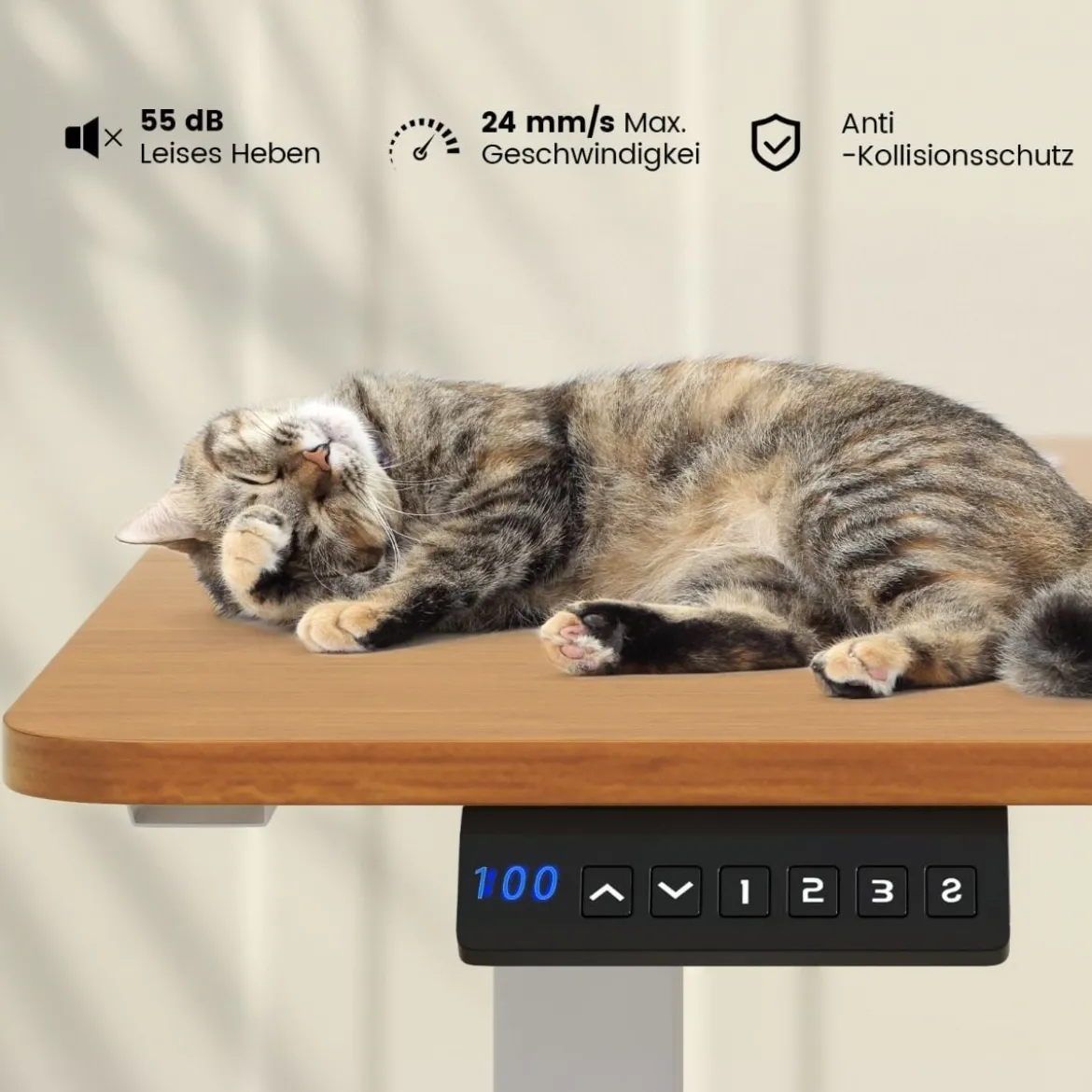 Höhenverstellbarer Schreibtisch 140 x 60 cm elektrischer Stehschreibtisch Natur