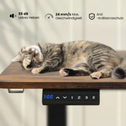 Höhenverstellbarer Schreibtisch 140 x 60 cm elektrischer Stehschreibtisch Rustikales Braun + Schwarz