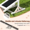 Holz-Hund Agility Wippe Hunde-Übungs- & Spielset Outdoor-Laufspielzeug Kletterplattform Weiß