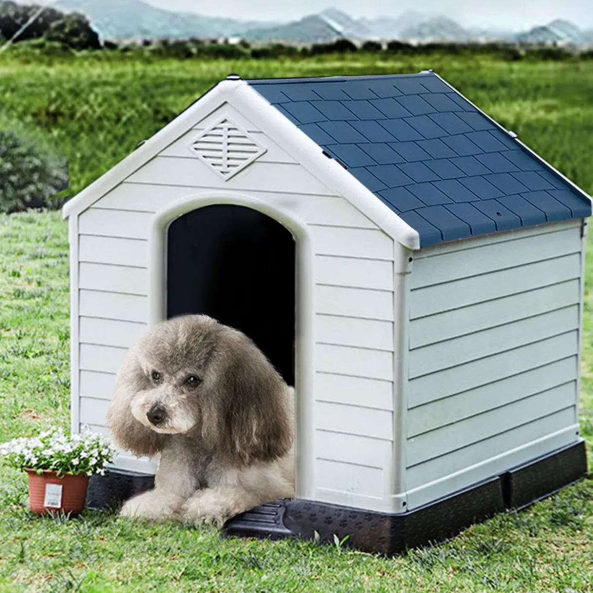 Hundehütte Hundehaus Hundehöhle mit Erhöhtem Boden Blau und Weiß