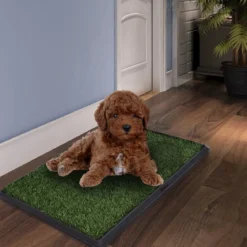 Hundetoilette Welpentoilette Hundeklo Haustierklo Trainingsunterlage Töpfchen