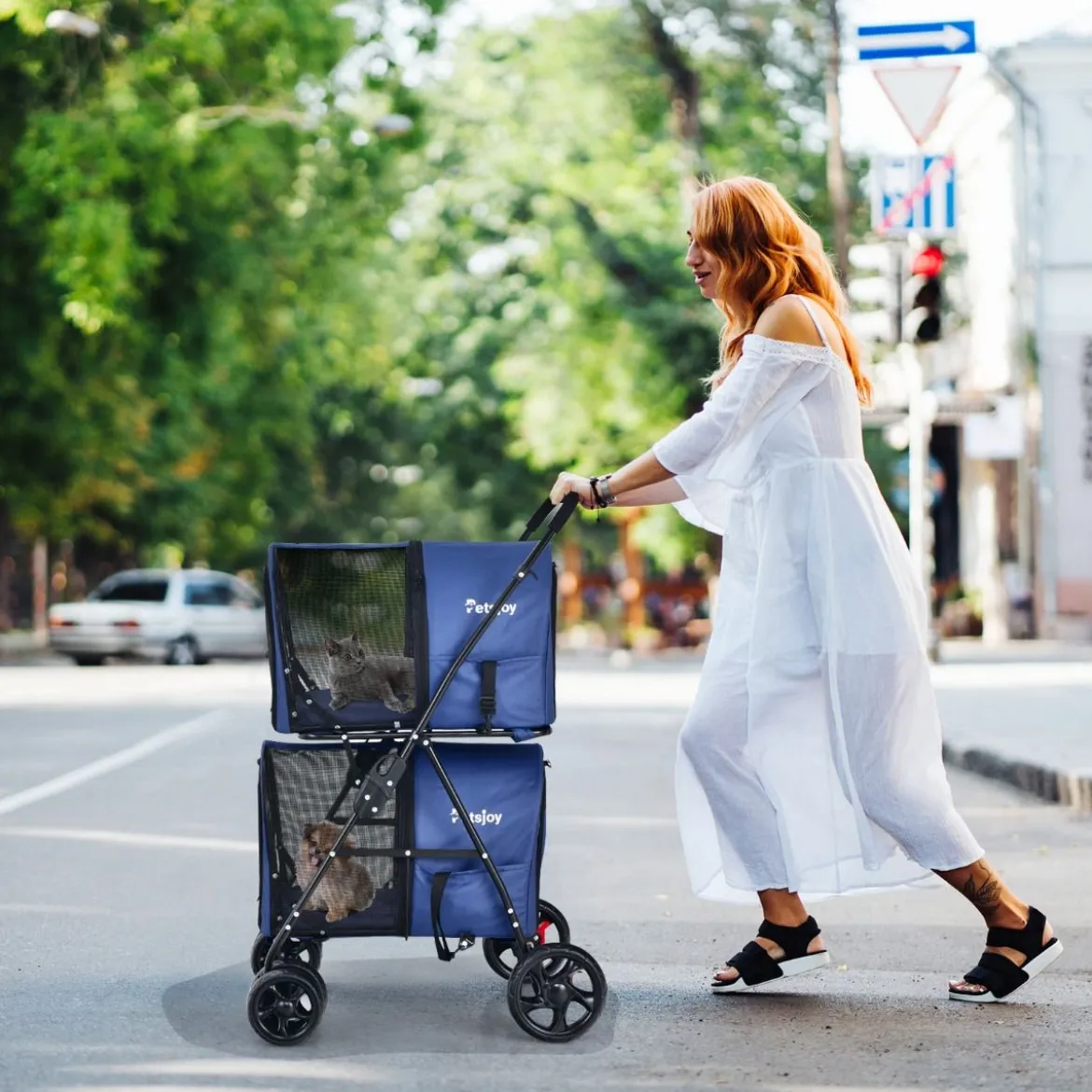 4 in 1 Multifunktionswagen Doppellagiger Kinderwagen für Haustiere Blau