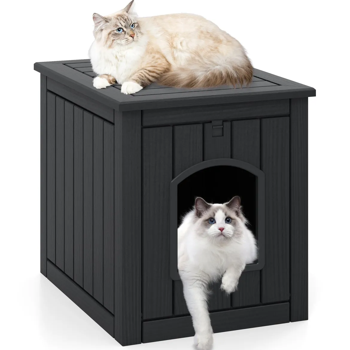 Katzenhaus mit Klapptür & Erhöhtem Boden Katzenklo Schrank aus PP KatzentoiletteSchwarz