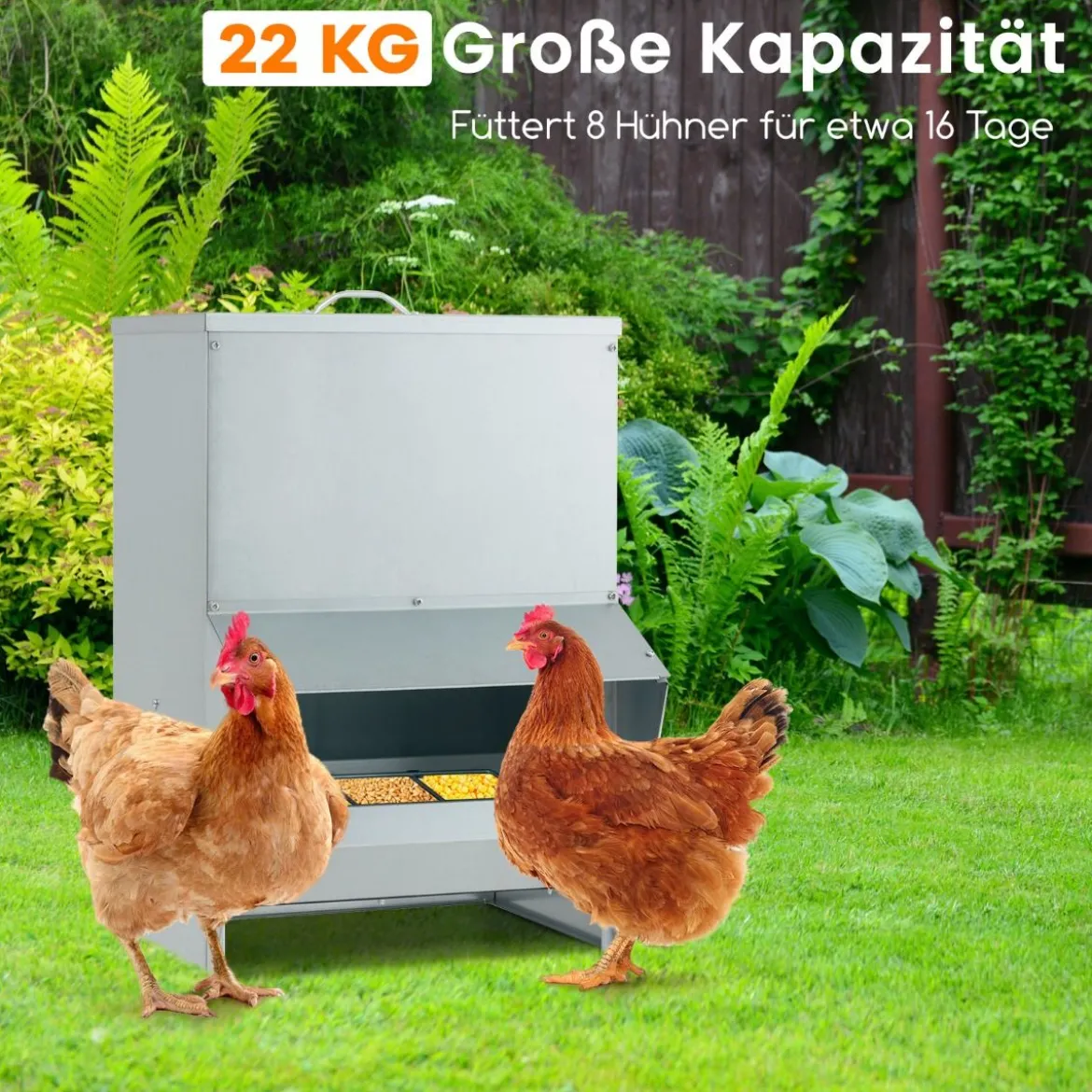 22 kg Kapazität verzinkter Hühnerfütterer Wandmontierter automatischer Geflügelfutterspender mit Deckel