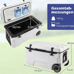 Kühlbox 50 L Große Thermobox aus Kunststoff mit Rollen & Griff Isolierbox mit Ablaufstopfen Grau/Weiß