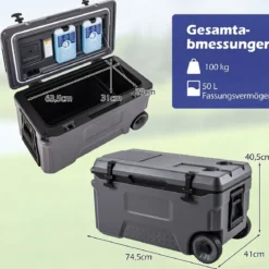 Kühlbox 50 L Große Thermobox aus Kunststoff mit Rollen & Griff Isolierbox mit Ablaufstopfen Grau/Weiß
