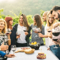 klappbarer Campingrtisch Aluminium Klapptisch 240 x 60 cm Picknicktisch Gartentisch für Indoor- und Outdoor Silber