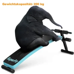 Klappbare Sit Up Bank bis 200kg Belastbar Verstellbare Schrägbank Trainingsbank Blau