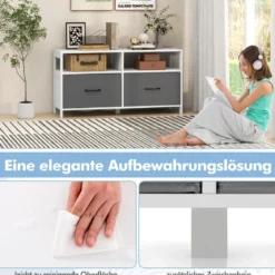 Kommode mit 2 Schubladen Aufbewahrungsschrank mit offenen Regalen 100 x 30 x 53 cm