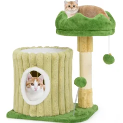 Kratzbaum Klein Katzenbaum mit Plattform Sisal-Kratzsäule Katzenhöhle & 2 Bällen Grün