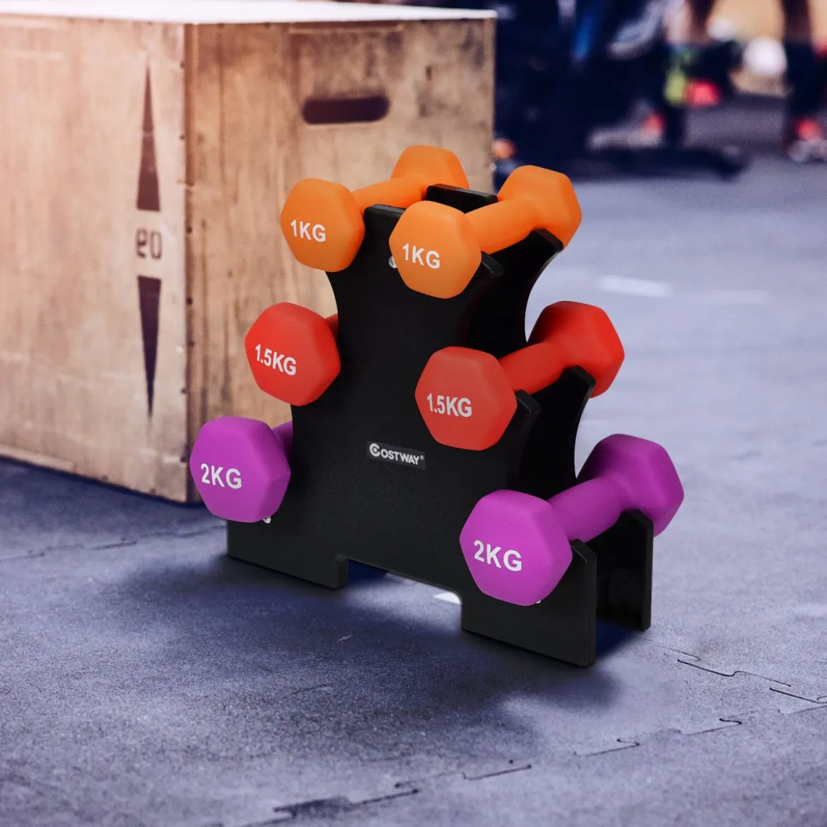 Kurzhantel Set 1kg 1,5kg 2kg Fitness Hanteln mit Hantelständer