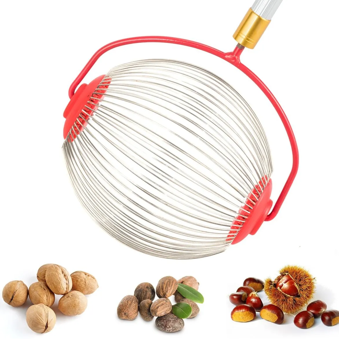 Obstsammler Nusssammler Rollsammler für Aufsammeln von Früchte Nüsse Golfbälle Edelstahl70-128cm