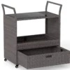 Outdoor Rattan-Barwagen rollbarer Bartresen mit gehärteter Glasplatte offenes Ablagefach Braun