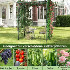 Rankgitter für Kletterpflanzen Rankhilfe Rankbogen Torbogen Gartenbogen 200 x 150 x 197 cm