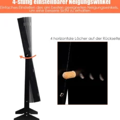 Schmuckschrank mit Ganzkörperspiegel mit Ohrringfächern 41 x 36,5 x 146 cm Schwarz