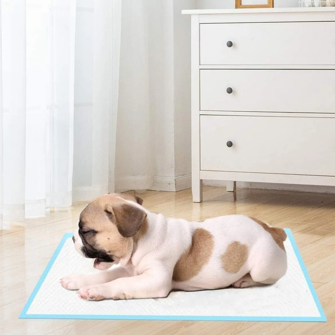 100 Stück Hunde Trainingsunterlagen mit Auslaufsicheres 5-lagiges Design Welpenunterlagen 60 x 60 cm