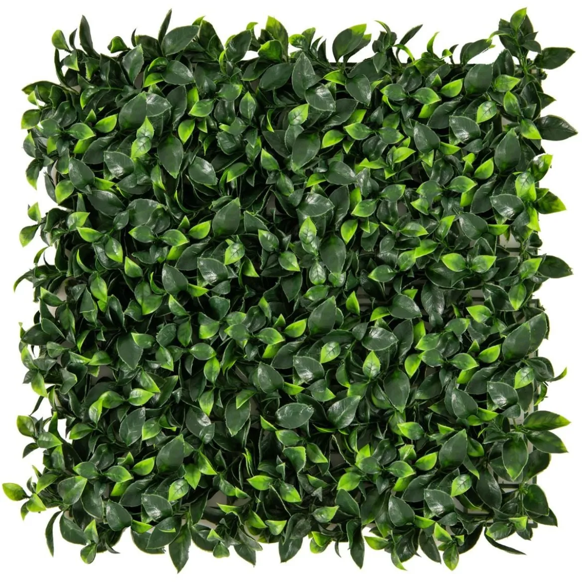 12 Stück Künstliche Hecke Pflanzenwand 50,5 x 50,5 cm Simulierter Rasen Kunstpflanze Grün