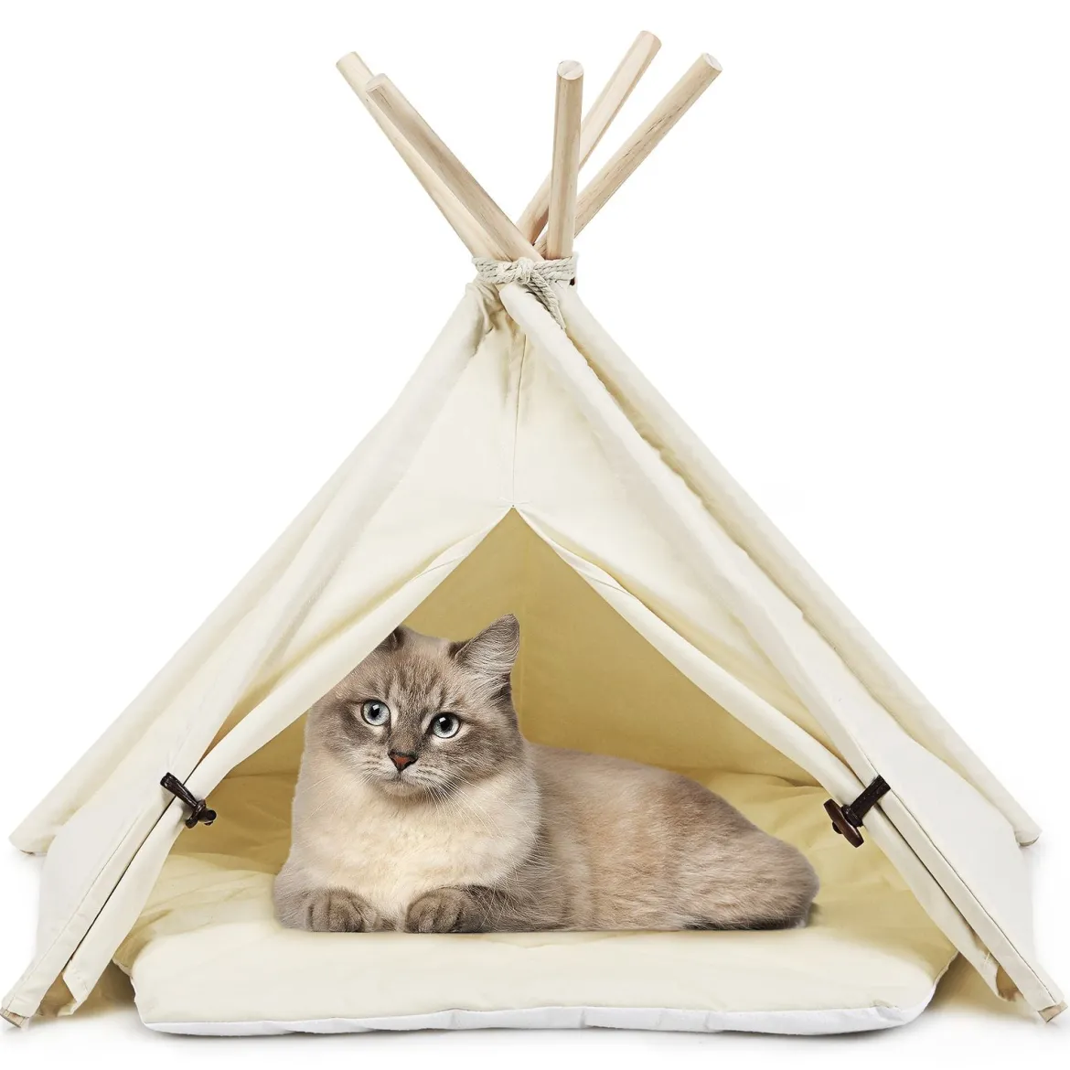 Tipi für Haustiere Zelt mit dickem und rutschfestem Kissen tragbares Haustierhaus Hundezelt Katzenzelt Beige