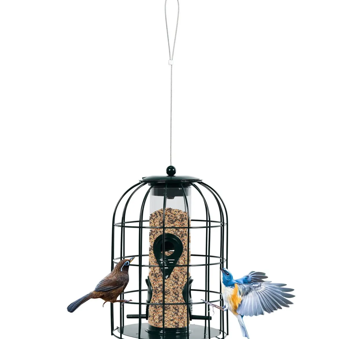 Vogelfutterspender Eichhörnchensicher Futtersäule Hängende Vogelfutterstation Vogelhaus Vogelfutterspender Futterhaus