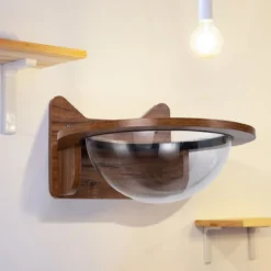 Wandliege Katzenliege Katzenbett Holz Katzen Korb transparent Katzenregal Wandmöbel Katzentreppe
