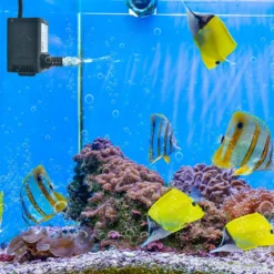 22 W Mini Aquarium Pumpe mit 2,2 m Hohem Hub & 1,83 m Netzkabel & 3 Düsen Wasserpumpe 900 L/h
