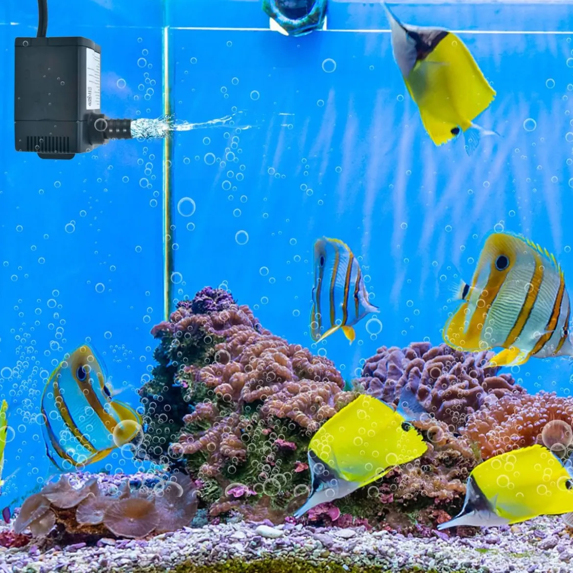 22 W Mini Aquarium Pumpe mit 2,2 m Hohem Hub & 1,83 m Netzkabel & 3 Düsen Wasserpumpe 900 L/h